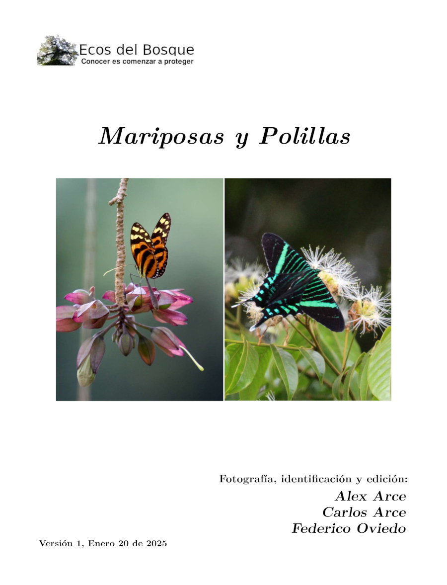 Portada del libro con fotos de una mariposa y una polilla Portada del libro con fotos de una mariposa y una polilla