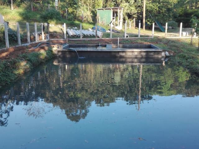Estanque para pesca de tilapias Estanque para pesca de tilapias