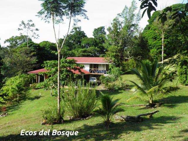 Vista de jardínes y la cabaña. Vista de jardínes y la cabaña.