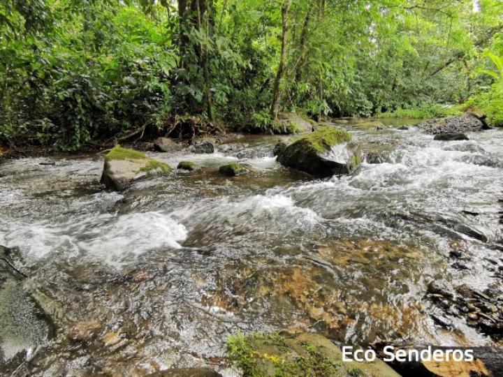 Vista de la quebrada Tirimbina