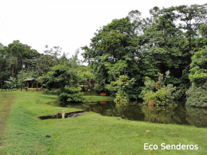 Area de llegada a finca