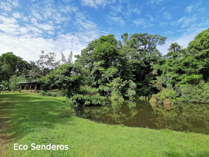 Gran estanque hábitat de especies nativas