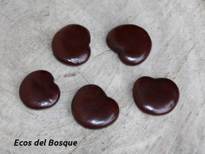 Entada gigas (Corazón de mar)